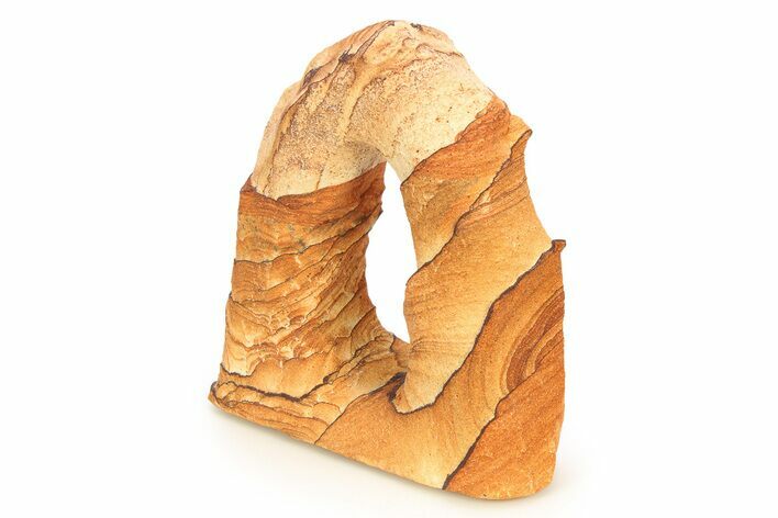 Tall Picture Sandstone Arch - Arizona #309718